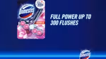 Domestos toilet product
